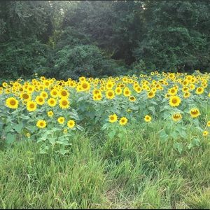 Meet your Posher, Bethany